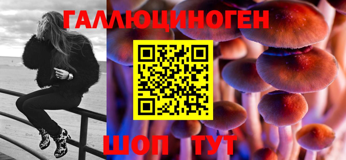 NBOMe  Мыски  A PVP СК кристаллы  Cocaine  Вход с VPN  МЕФ   Гашиш  ТГК  МАРИХУАНА 