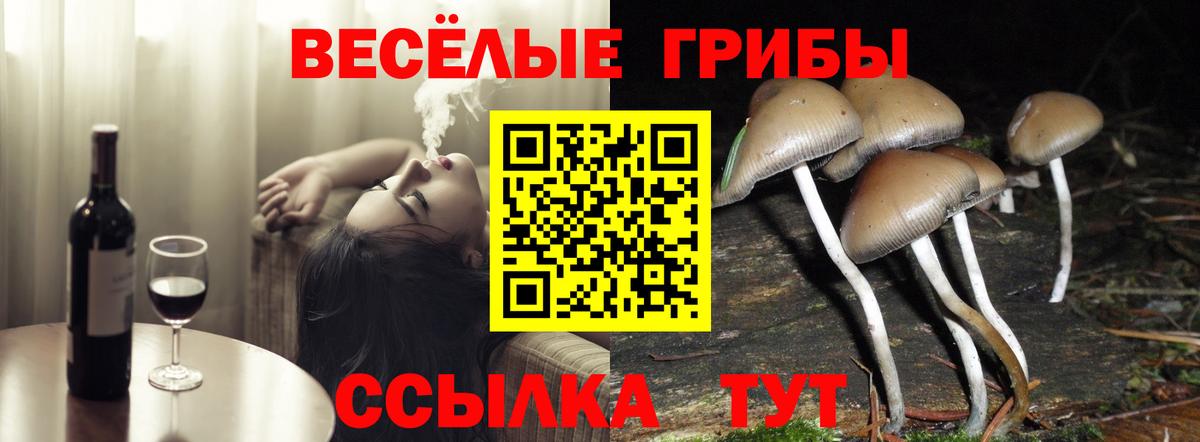 Псилоцибиновые грибы мицелий Мыски